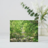 Patapsco River View Maryland Natuurfotografie (Staand voorkant)