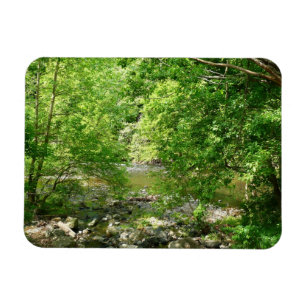 Patapsco River View Maryland Natuurfotografie Magneet