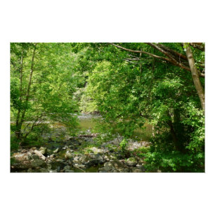 Patapsco Rivier View Maryland Natuurfotografie Poster