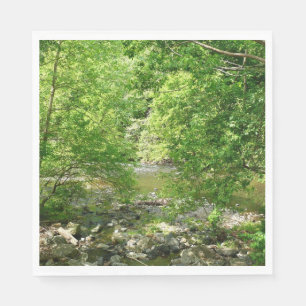 Patapsco Rivier View Maryland Natuurfotografie Servet