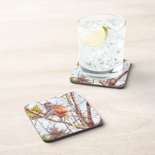 Patas is omhoog een structuur bier onderzetter (Rechterzijde)