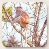 Patas is omhoog een structuur bier onderzetter (Voorkant)