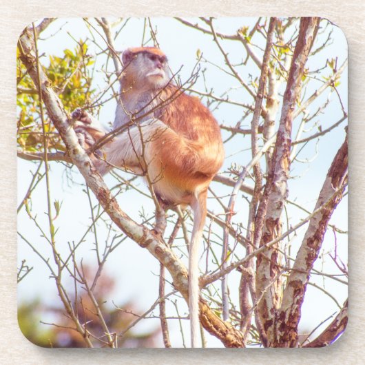 Patas is omhoog een structuur bier onderzetter (Voorkant)