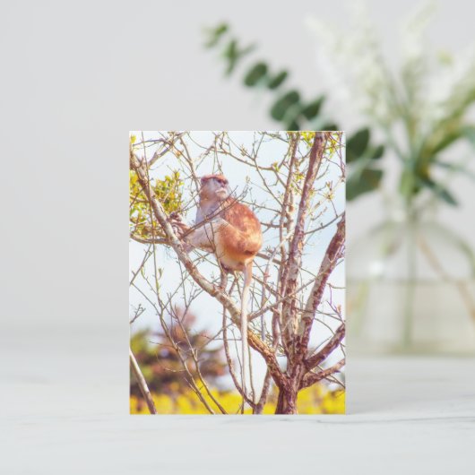 Patas is omhoog een structuur briefkaart (Staand voorkant)