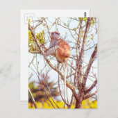 Patas is omhoog een structuur briefkaart (Voorkant / Achterkant)