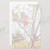 Patas is omhoog een structuur briefpapier (Voorkant / Achterkant)