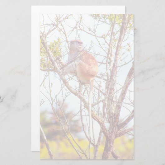 Patas is omhoog een structuur briefpapier (Voorkant / Achterkant)