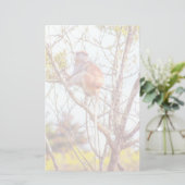 Patas is omhoog een structuur briefpapier (Staand voorkant)