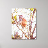 Patas is omhoog een structuur canvas afdruk (Voorkant)