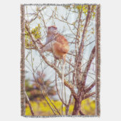 Patas is omhoog een structuur deken (Voorkant Verticaal)