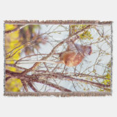 Patas is omhoog een structuur deken (Voorkant)