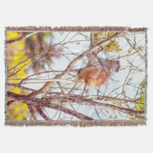 Patas is omhoog een structuur deken