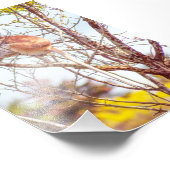 Patas is omhoog een structuur foto afdruk (Hoek)