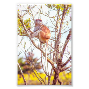 Patas is omhoog een structuur foto afdruk