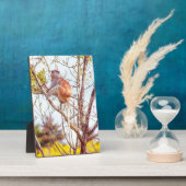 Patas is omhoog een structuur fotoplaat (Zijkant)