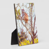 Patas is omhoog een structuur fotoplaat (Zijkant)