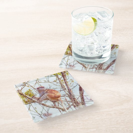 Patas is omhoog een structuur glazen onderzetter (Schuin)