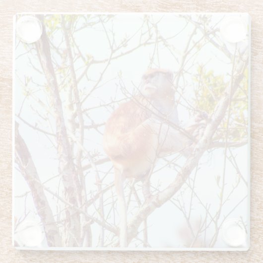 Patas is omhoog een structuur glazen onderzetter (Achterkant)