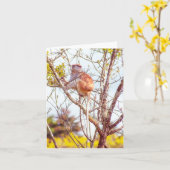 Patas is omhoog een structuur kaart (Gele Bloem)