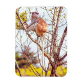 Patas is omhoog een structuur magneet (Verticaal)