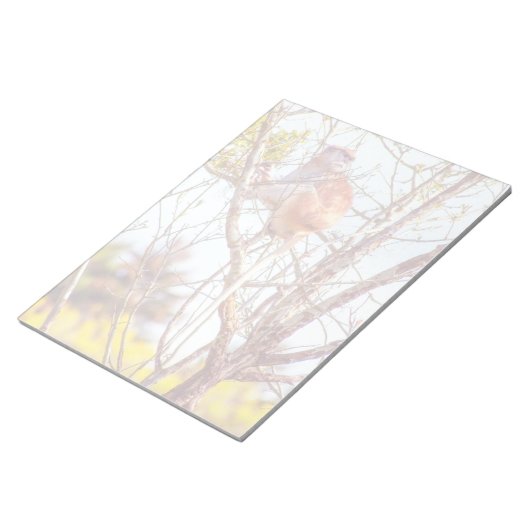 Patas is omhoog een structuur notitieblok (Schuin)