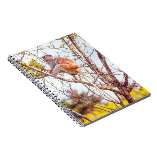 Patas is omhoog een structuur notitieboek (Rechterzijde)