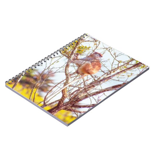 Patas is omhoog een structuur notitieboek (Linkerzijde)