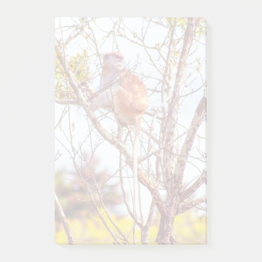 Patas is omhoog een structuur post-it® notes (Voorkant)