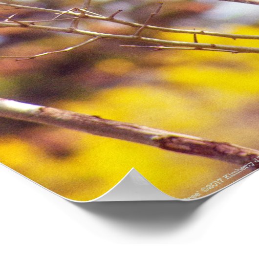 Patas is omhoog een structuur poster (Hoek)