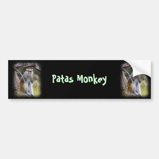 Patas Monkey Bumpersticker (Voorkant)