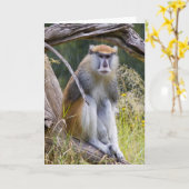 Patas Monkey Kaart (Gele Bloem)