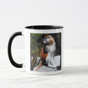 Patas monkey mok