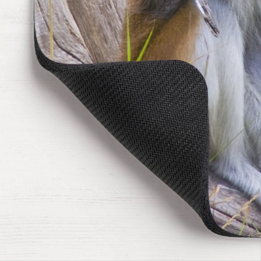 Patas Monkey Muismat (Hoek)