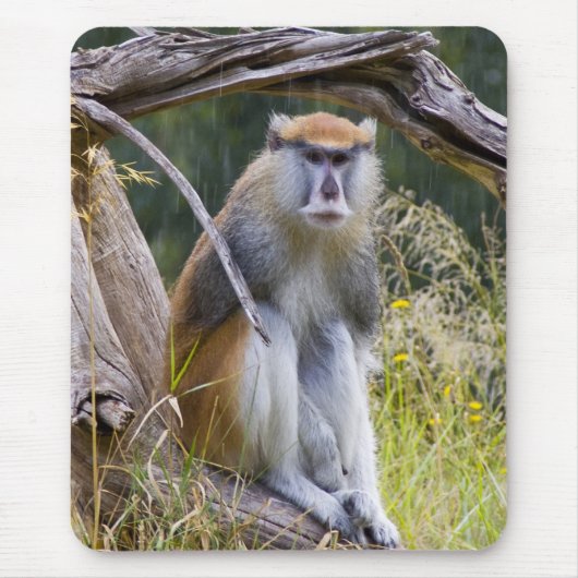 Patas Monkey Muismat (Voorkant)