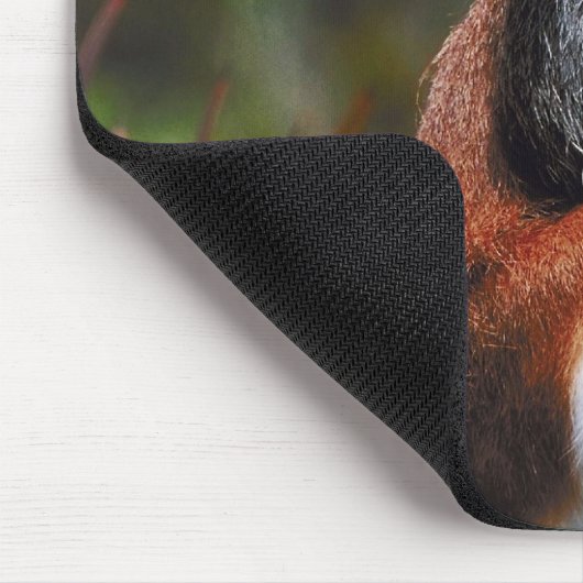 Patas monkey muismat (Hoek)