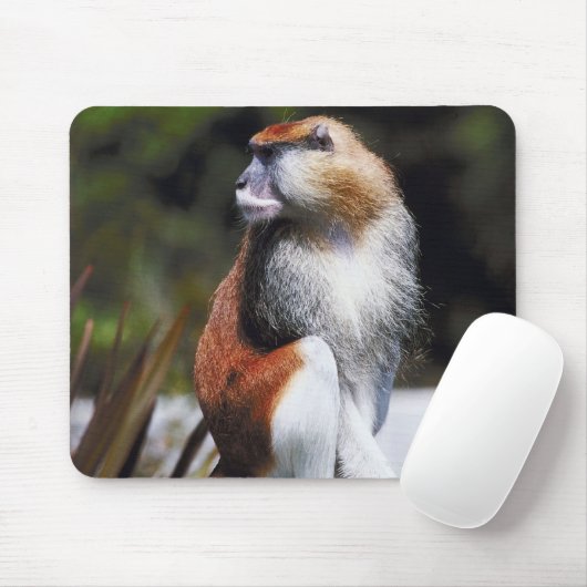 Patas monkey muismat (Met muis)