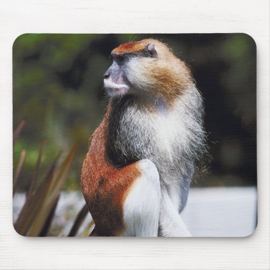 Patas monkey muismat (Voorkant)