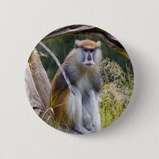 Patas Monkey Ronde Button 5,7 Cm (Voorkant)