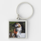 Patas monkey sleutelhanger (Voorkant)