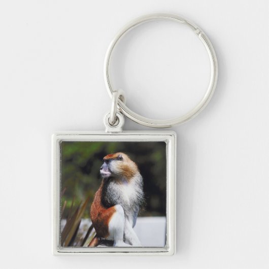 Patas monkey sleutelhanger (Voorkant)
