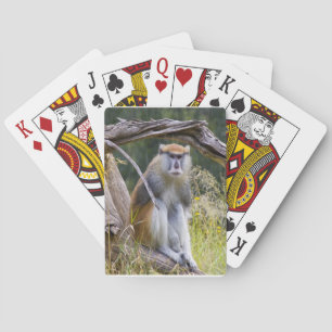 Patas Monkey Speelkaarten