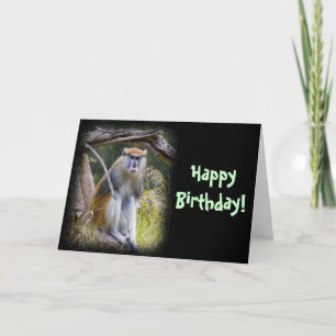Patas Monkey Verjaardag Kaart