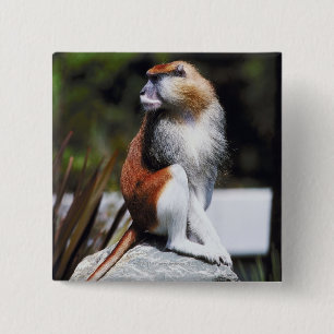 Patas monkey vierkante button 5,1 cm