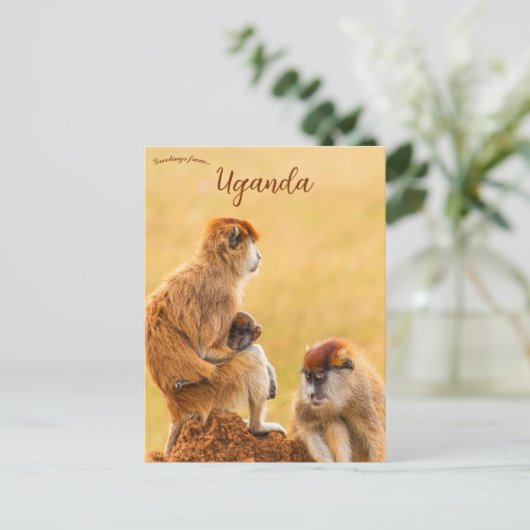 Patas Monkeys in Oeganda Briefkaart (Staand voorkant)