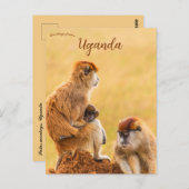 Patas Monkeys in Oeganda Briefkaart (Voorkant / Achterkant)