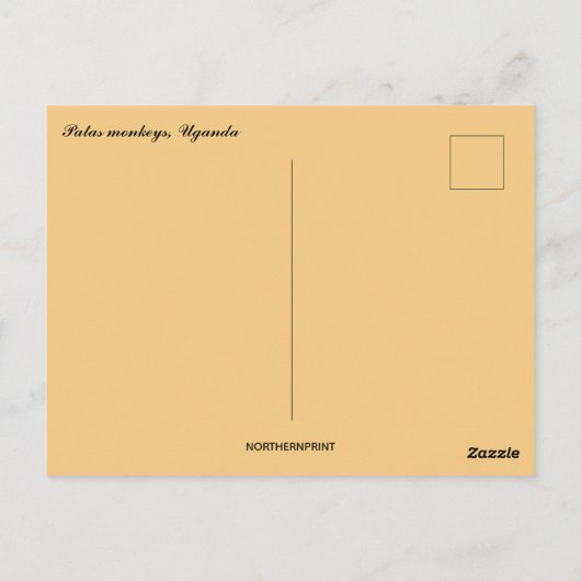 Patas Monkeys in Oeganda Briefkaart (Achterkant)