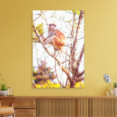 Patas zit in een boom canvas afdruk (Insitu (Woonkamer))