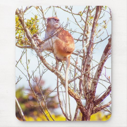 Patas zit in een boom muismat (Voorkant)
