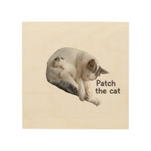 PATCH DE KAT EN HAAR KITTEN