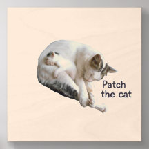 PATCH DE KAT EN HAAR KITTEN